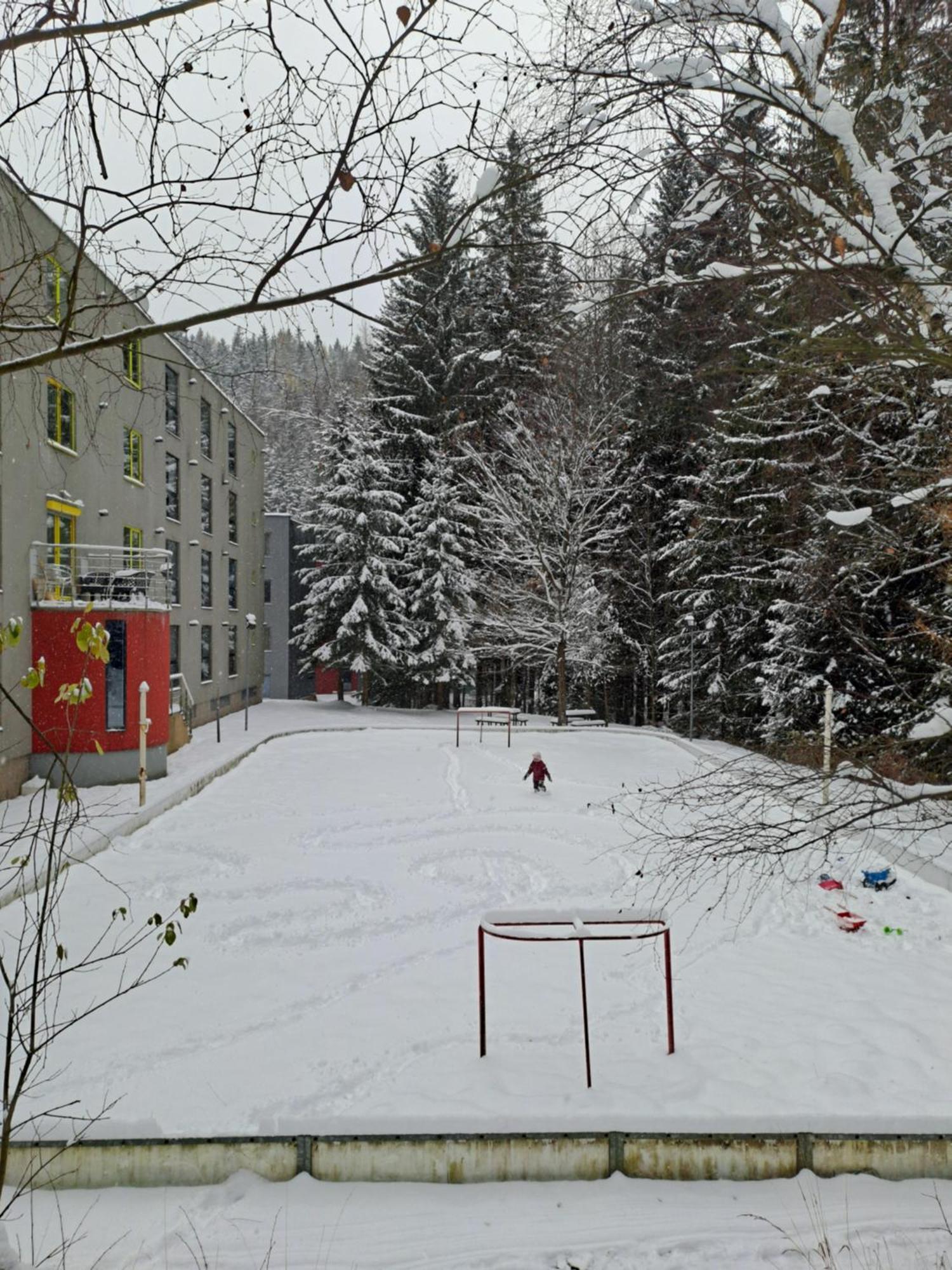 Plne Vybaveny Apartman Pod Mumlavskym Vodopadem, Zahrada S Ohnistem, Idealni Vychozi Bod Pro Turistiku, U Cesty Na Hrebeny, Kousek Do Centra, Absolutni Klid, Vybaveny I Pro Deti, Wellness A Fitko Naproti Harrachov Eksteriør billede